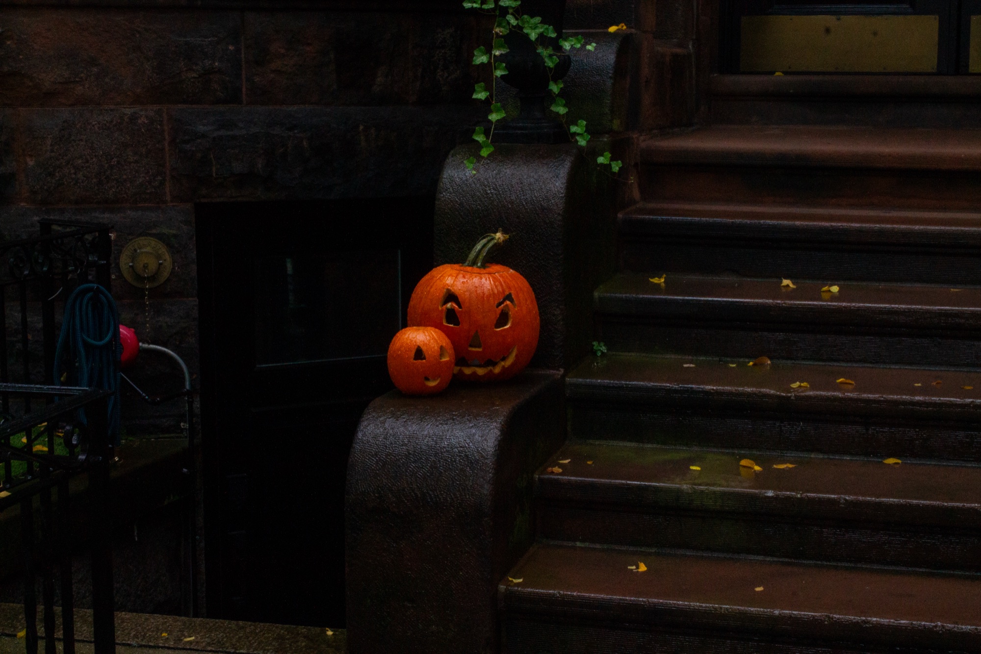 Boston in the Fall — photo 13.