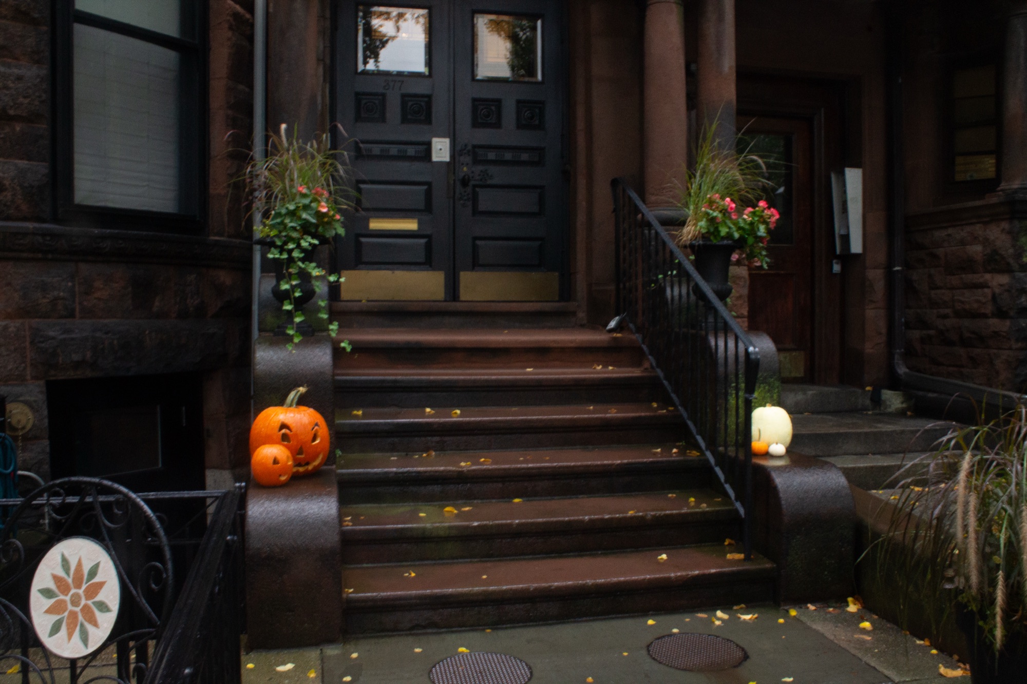Boston in the Fall — photo 14.