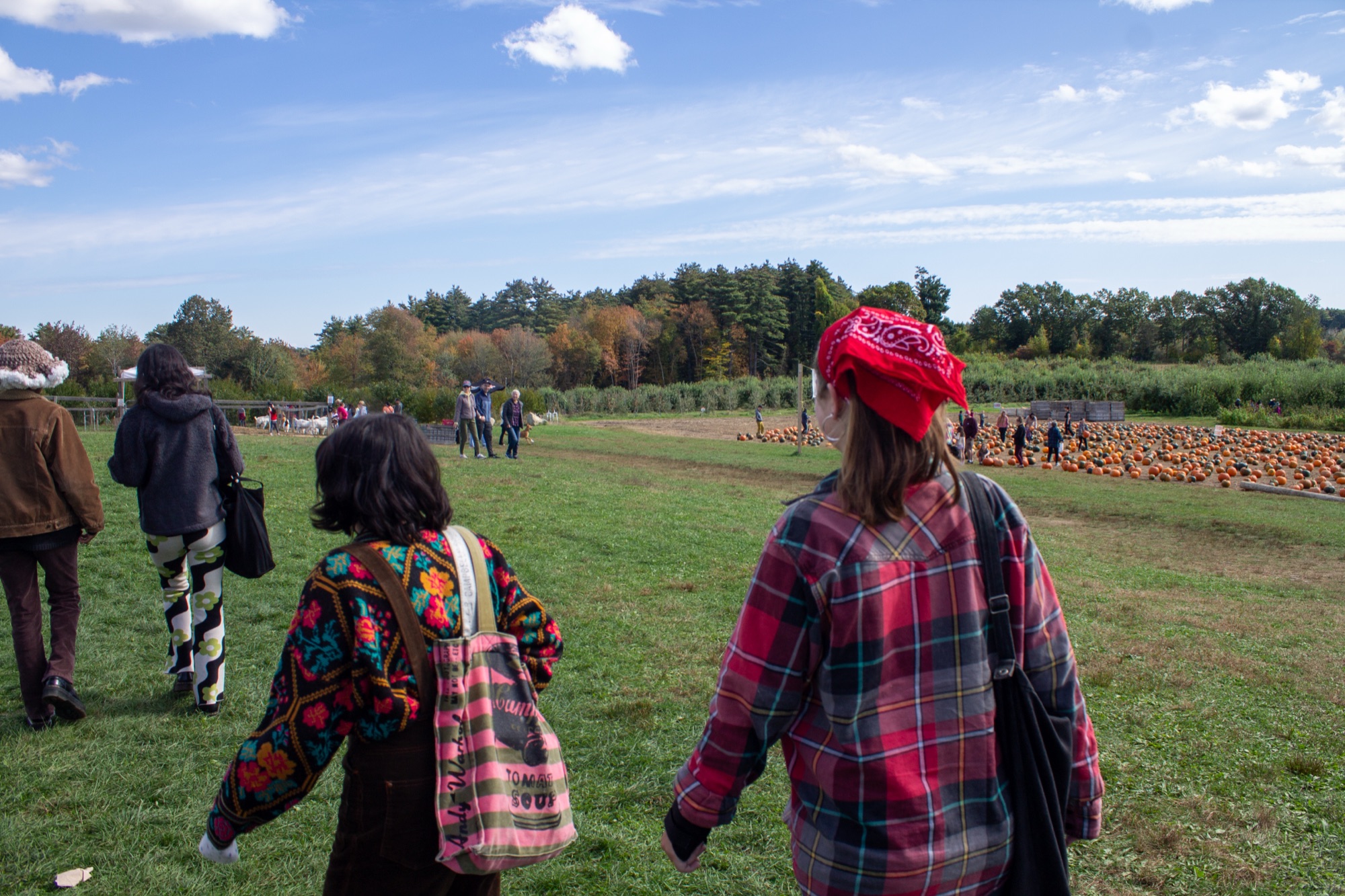 Farm Day — photo 8.