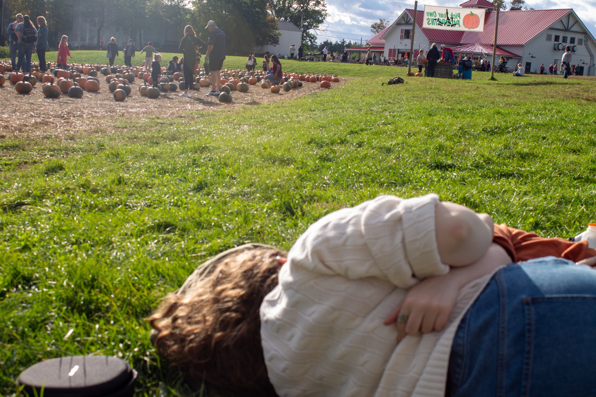 Farm Day — photo 20.