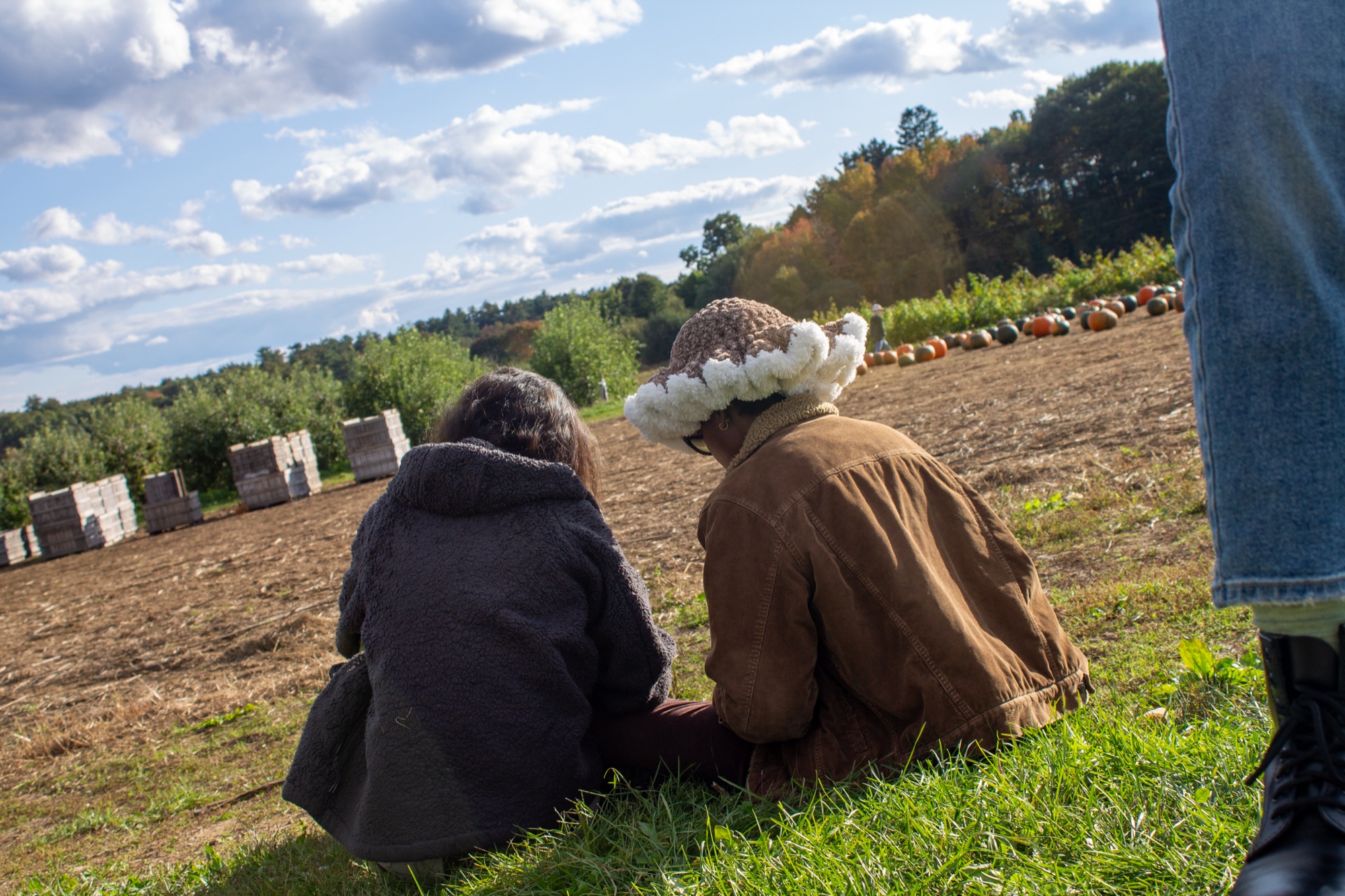 Farm Day — photo 21.
