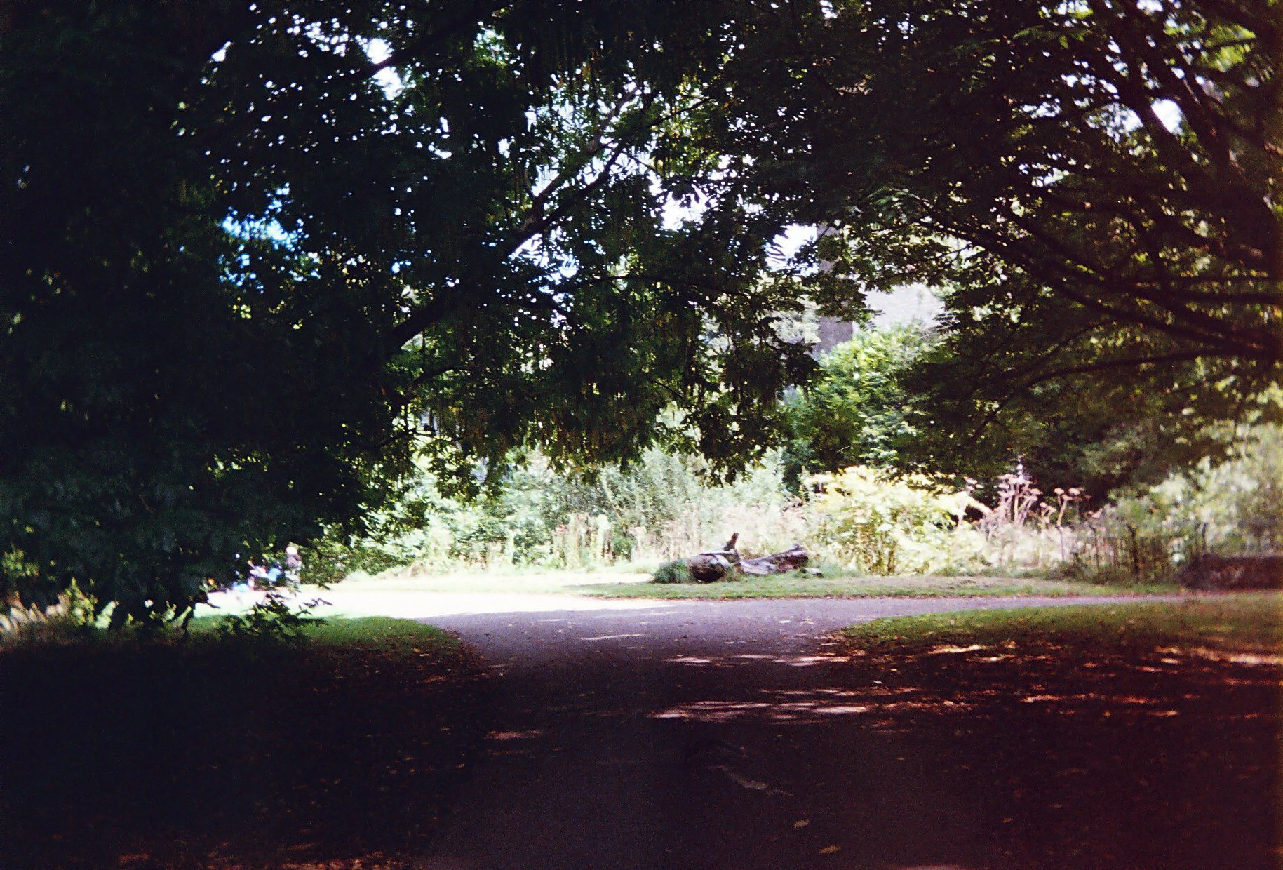 The UK in 35mm — photo 22.