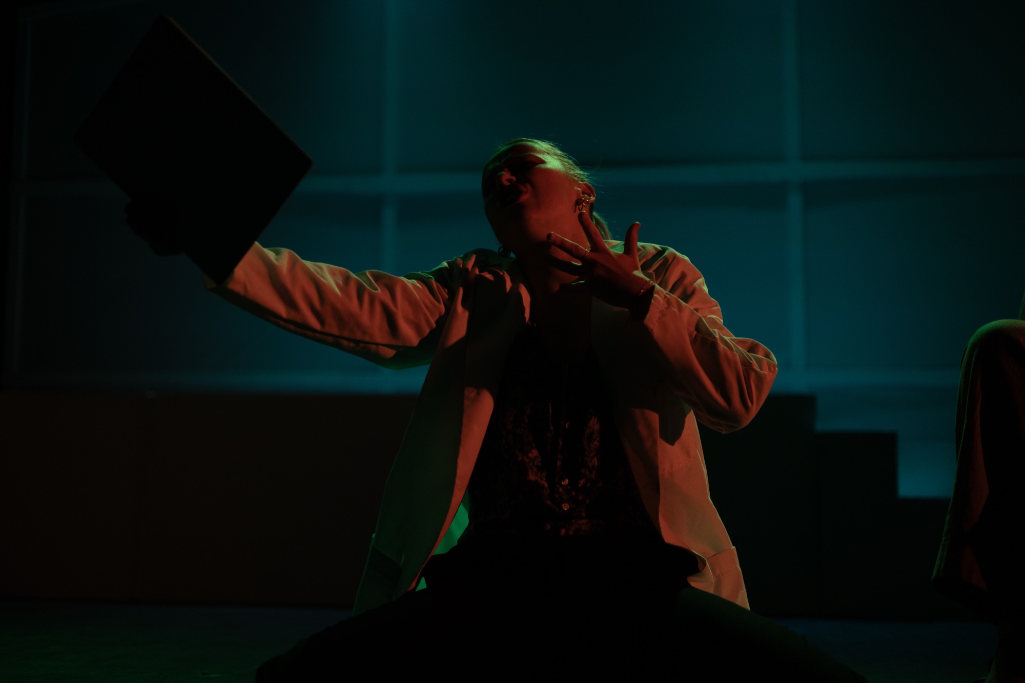 Next to Normal — production photo 14.