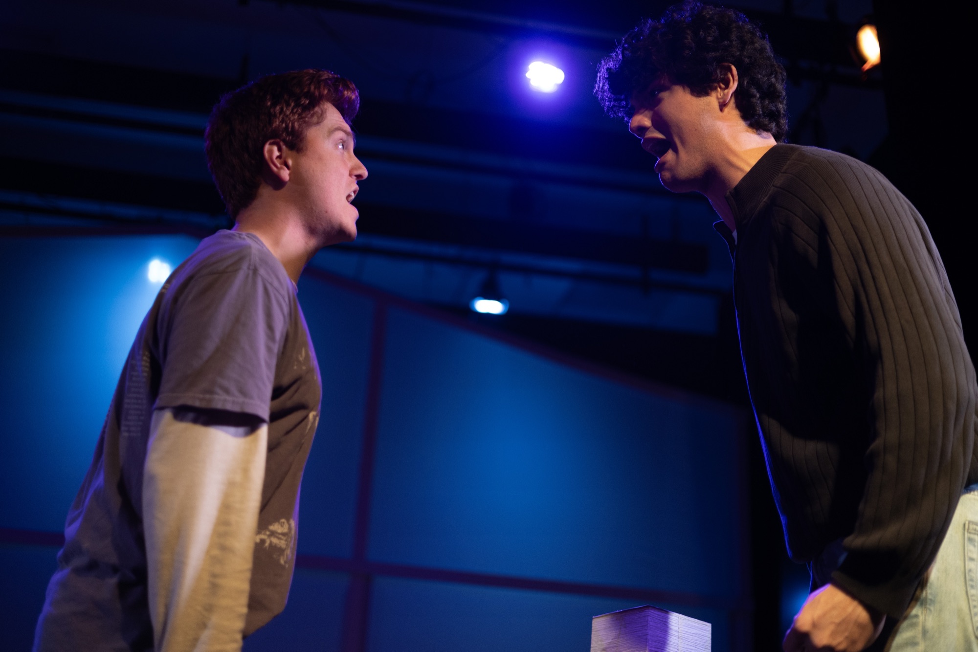 Next to Normal — production photo 23.