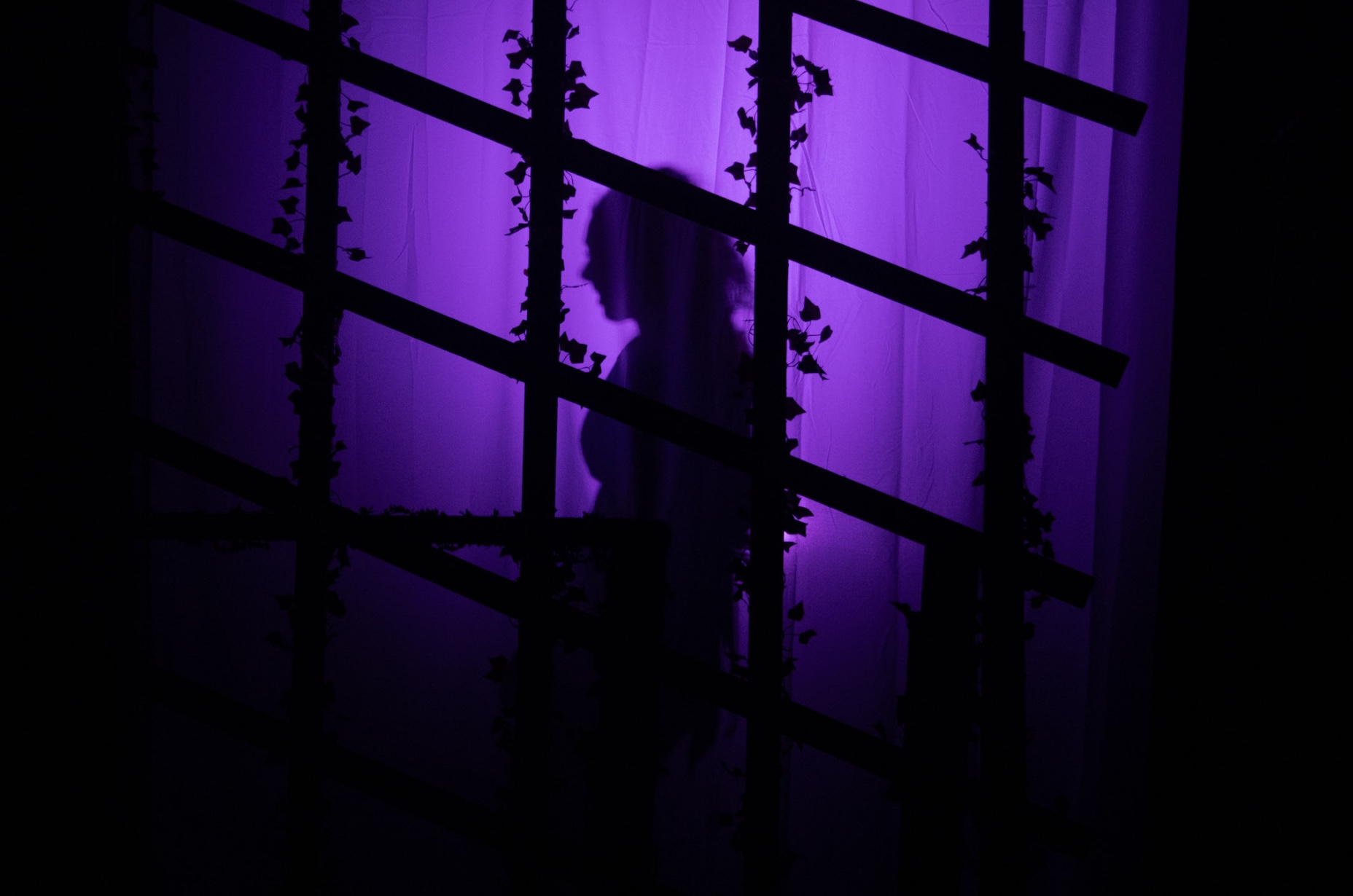 Spring Awakening — key production image, lit on scroll.